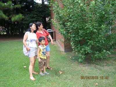 IMG_6153.jpg