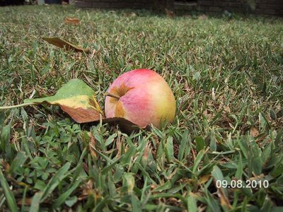 IMG_4020.jpg