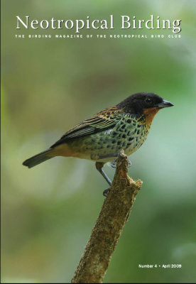 Neotropical Birding #4