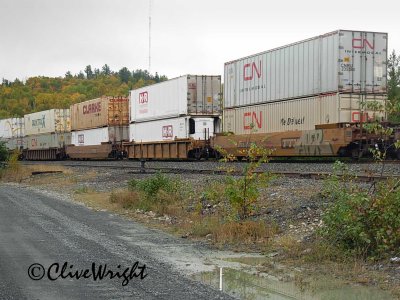 Canadian-Container-graphics.jpg