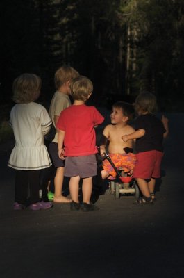 group dynamics
