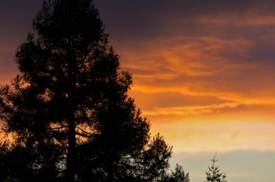 g1/70/875270/3/111497006.d5oQJ79q.jpg