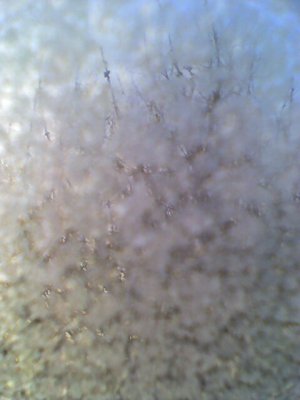 g1/70/887370/3/107047571.pcLXKBI7.jpg