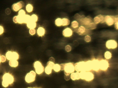 g1/70/887370/3/113141860.Lx7g0PuS.jpg