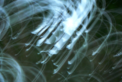 JULY 2010