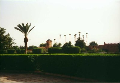 052 - Marrakesch - Palmen in den Menaragaerten.jpg
