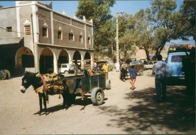 070 - Skoura - Eselgespann.jpg