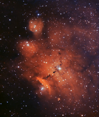 NGC 6559 and Friends