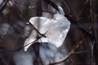 DSCF7584.jpg