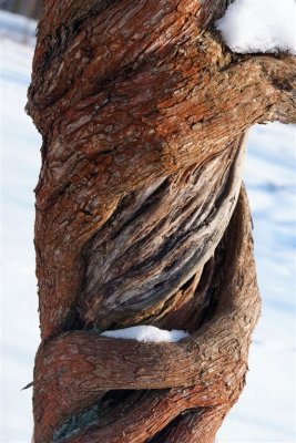 DSCF7590.jpg