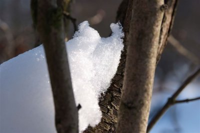 DSCF7591.jpg
