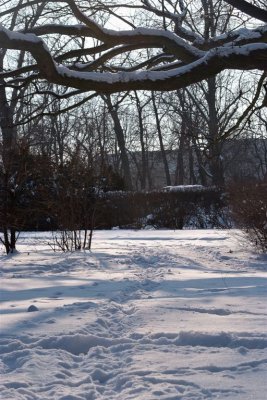 DSCF7594.jpg