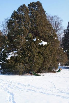 DSCF7600.jpg