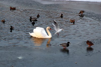 DSCF7635.jpg