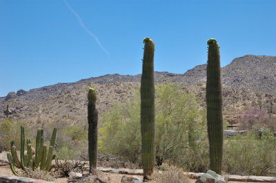 DSC_7721.jpg