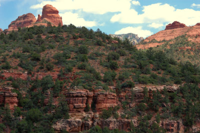 DSC_7903.jpg