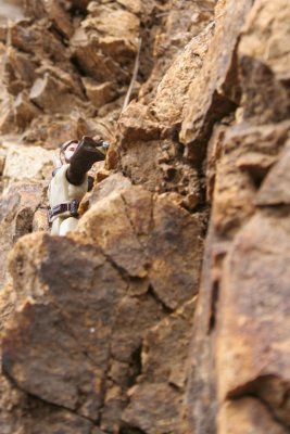 RuidosoObeeOne_2251.jpg