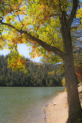 Ruidoso_1688.jpg