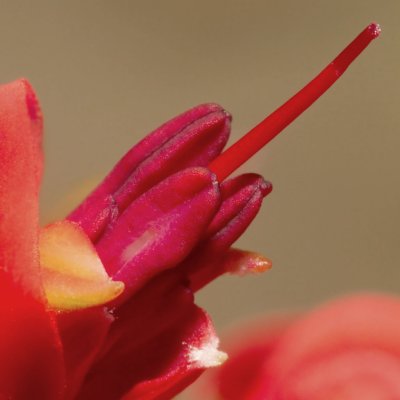 IMG_0943_Backyard.jpg