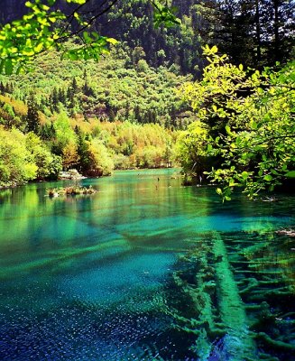 Jiuzhaigou Park, Sichuan Province, China.