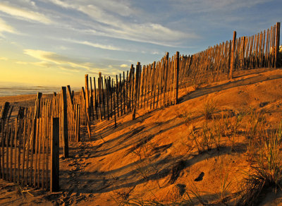 The Sand Fence Series