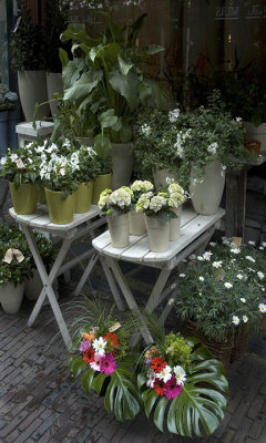 haarlem florist.jpg