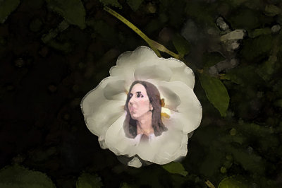 Garden of the Goddess: Angel of the White Rose
