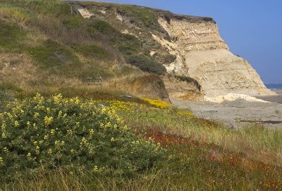 Drake's Beach - Point Reyes National Seashore