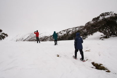 Mt Feathertop Snow Walk