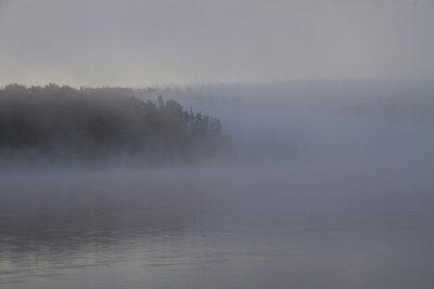 Early morning mist