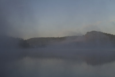Early morning mist
