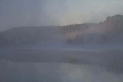 Early morning mist