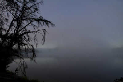 Early morning mist