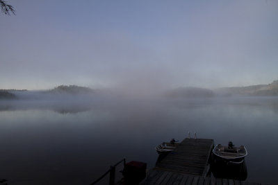 Early morning mist