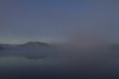 Early morning mist