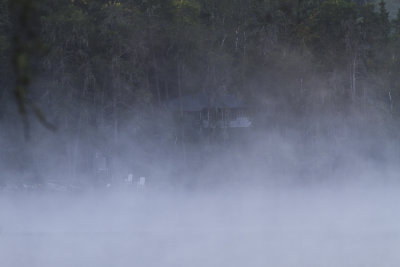 Early morning mist