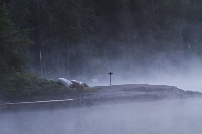 Early morning mist