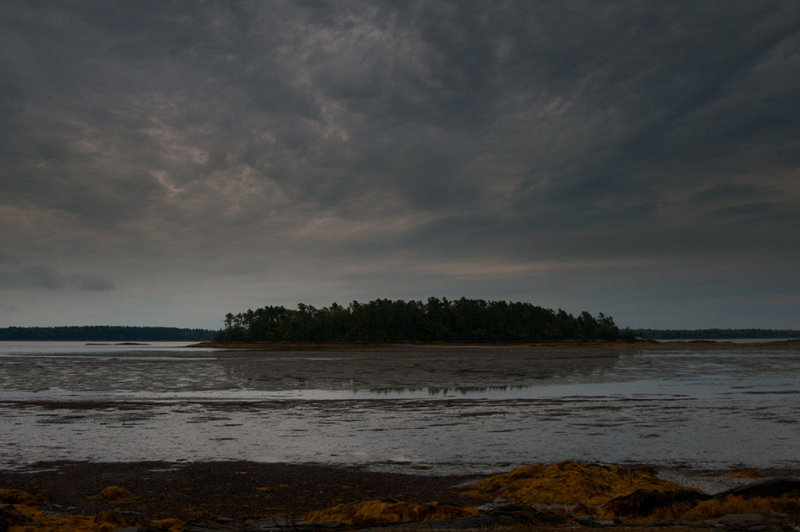 October 14 - Low tide