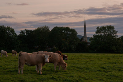 September 19 - Daisy and the church