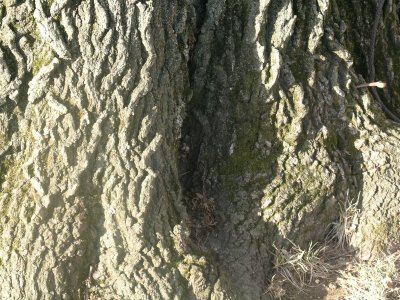 Hidden Hole 2012 07 28_0465.jpg