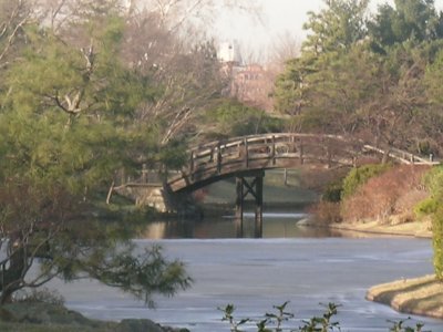 The Pond 2012 07 28_0475.jpg