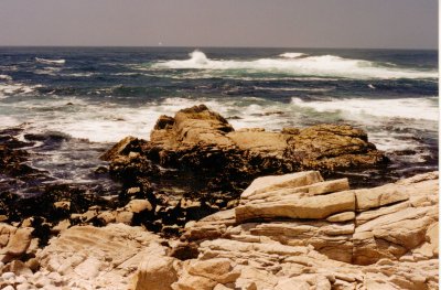 Monterry surf no 1.jpg