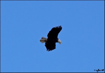 IMGP6910w.jpg