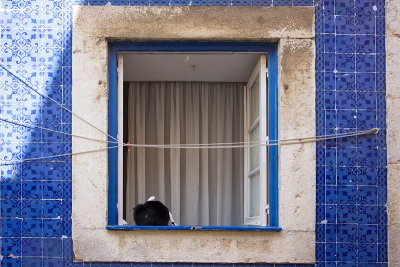 windows & balconies & doors 12
