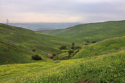 Issaschar Valley 1