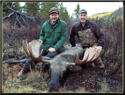 Moose Hunt (Brian Warmuth)