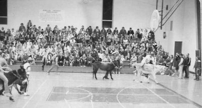 Donkey Ball 1978