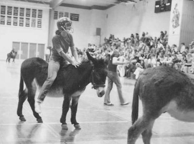 Donkey Ball  1978