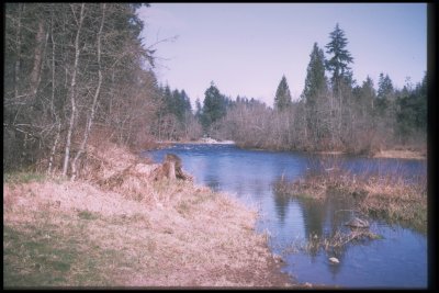 Lewis River