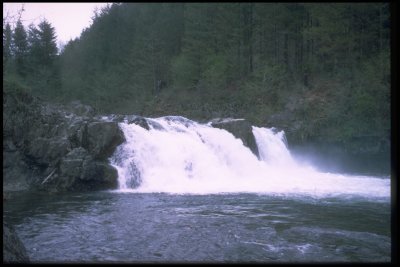 Thornton Falls, Lewis River